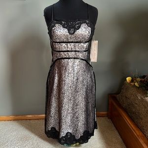 NWT Dave & Johnny cocktail dress | 9/10